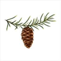 Hand drawn and hand painted with watercolor effect pine cone with conifer branch. Christmas and New Year green conifer plant elements. Tree Art Design. Isolated on white background. vector