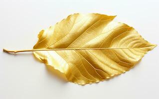 Gold leaves Stock Photos, Royalty Free Gold leaves Images