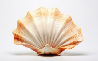 A Sea Shell on a White Background. Generative By Ai photo