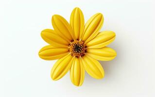 Yellow Flower on a White Background. Generative By Ai photo