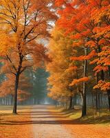 Photo road is surrounded by trees with colorful leaves during fall  AI-generated