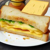 Interesting cheese sandwich bread photo