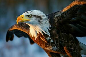 Daylight reveals eagles splendor in a closeup field portrait AI Generated photo