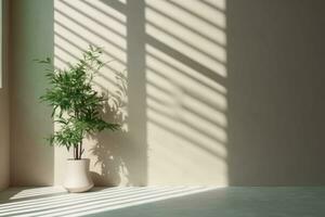 Minimalist interior design with shadows and sunlight. Composition of plants in pot. Generative AI photo
