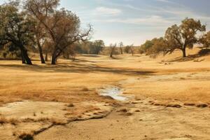 Dry grassy meadow with lush trees and cracks on ground representing concept of drought in desert. Generative AI photo