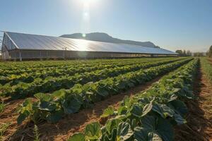 granja con solar paneles sostenible agricultura, cosecha crecimiento debajo solar paneles generativo ai foto