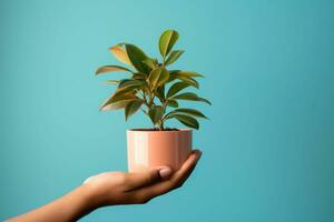 un mano participación un pequeño en conserva planta. concepto de urbano selva, creciente plantas a hogar. generativo ai foto