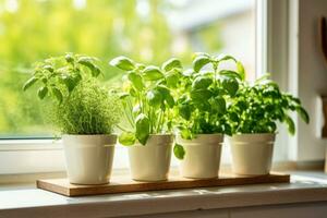 A fresh small culinary herb garden on a sunny windowsill in the kitchen. Generative AI photo