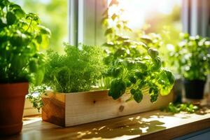 A fresh small culinary herb garden on a sunny windowsill in the kitchen. Generative AI photo