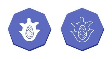 icono de vector de fruta de dragón