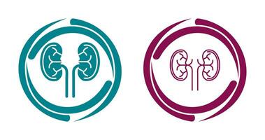 Kidney Vector Icon