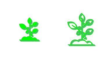 Sprout Vector Icon