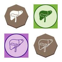 Liver Vector Icon