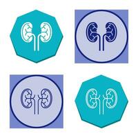 Kidney Vector Icon