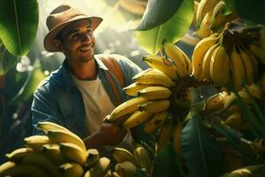 Farmer working in a banana plantation, Harvesting of ripe bananas. ai generated pro photo