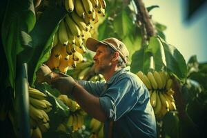 Farmer working in a banana plantation, Harvesting of ripe bananas. ai generated pro photo