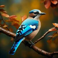 azul arrendajo pájaro sentado en un rama en el otoño bosque. ai generado Pro foto