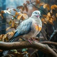 Pigeon sitting on a tree branch in the autumn forest. ai generated pro photo