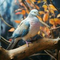 Pigeon sitting on a tree branch in the autumn forest. ai generated pro photo