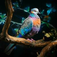 Pigeon sitting on a tree branch in the autumn forest. ai generated pro photo