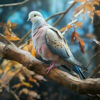 Pigeon sitting on a tree branch in the autumn forest. ai generated pro photo