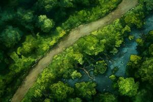 Aerial view of a road in the forest with fog in the background. ai generated pro photo