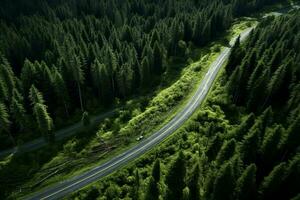 aéreo ver de un la carretera en el bosque con niebla en el antecedentes. ai generado Pro foto