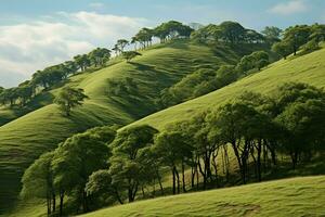Green tea plantation landscape with trees and blue sky. Nature background. ai generated pro photo