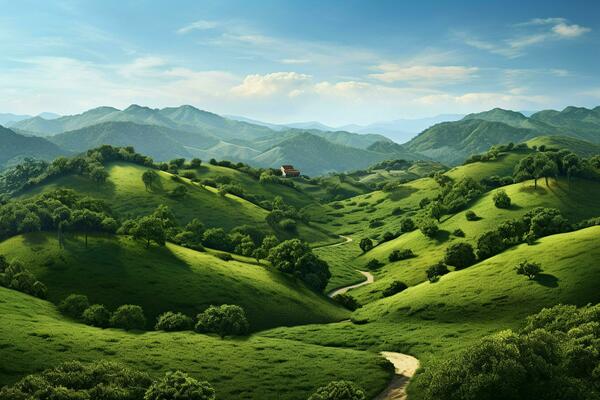 Green tea plantation landscape with trees and blue sky. Nature background. ai generated pro photo