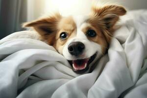 Cute dog lying under blanket on bed at home, closeup. Ai generated pro photo