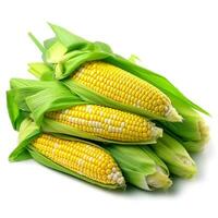 Corn isolated on white background .Generative Ai. photo