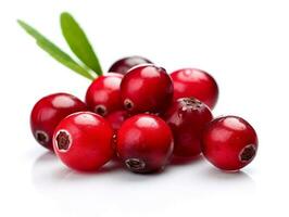 Cranberry isolated on white background .Generative Ai. photo