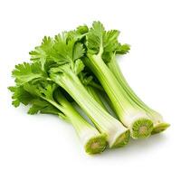 Celery isolated on white background .Generative Ai. photo