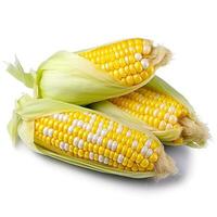 maíz aislado en blanco antecedentes .generativo ai. foto