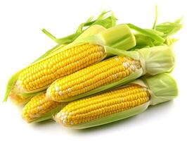 Corn isolated on white background .Generative Ai. photo