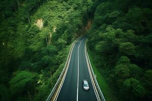 Road winds through the lush forest with modern cars driving through the trees.Generative Ai. photo