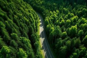 la carretera vientos mediante el lozano bosque con moderno carros conducción mediante el árboles.generativos ai. foto