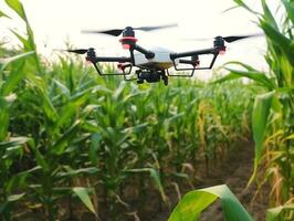 Farmers use drones to monitor the quality of green corn.Generative Ai. photo