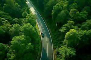 Road winds through the lush forest with modern cars driving through the trees.Generative Ai. photo