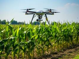Farmers use drones to monitor the quality of green corn.Generative Ai. photo