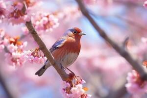 Beautiful bird on branch sakura.Generative Ai. photo