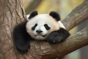 panda comiendo bambú en un árbol rama.generativa ai. foto