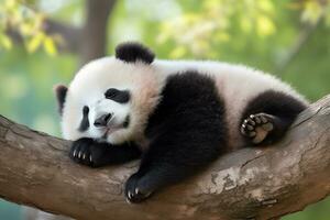 panda comiendo bambú en un árbol rama.generativa ai. foto