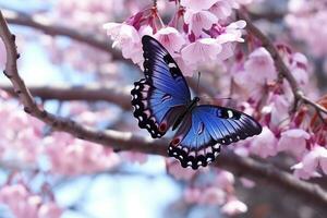 hermosa mariposa en sakura rama.generativa ai. foto