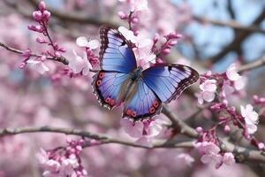 hermosa mariposa en sakura rama.generativa ai. foto