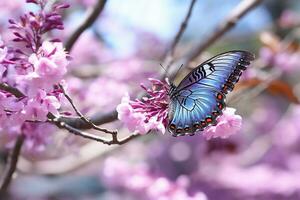 Beautiful butterfly on sakura branch.Generative Ai. photo