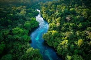 Top view rainforest with river in the forest.Generative Ai. photo