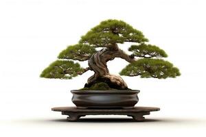 Bonsai pine tree on white background.Generative Ai. photo