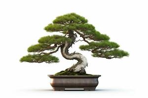 Bonsai pine tree on white background.Generative Ai. photo