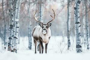 Reindeer standing in the snow winter background.Generative Ai. photo